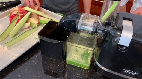 omega h3000d|omega juicer h3000 review.